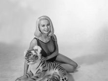 Joi Lansing