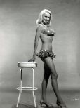 Joi Lansing