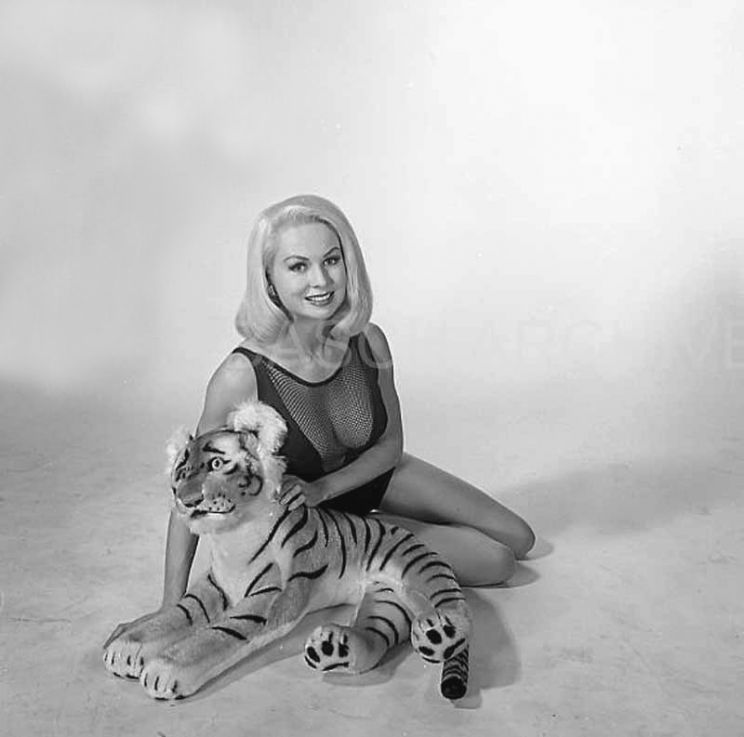 Joi Lansing