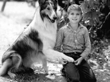 Jon Provost