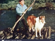 Jon Provost