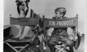 Jon Provost