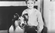 Jon Provost