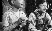 Jon Provost