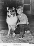 Jon Provost