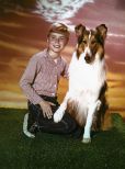 Jon Provost