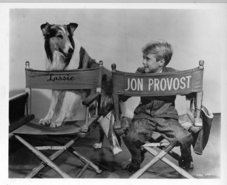 Jon Provost