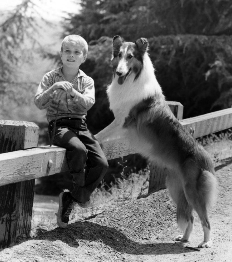 Jon Provost