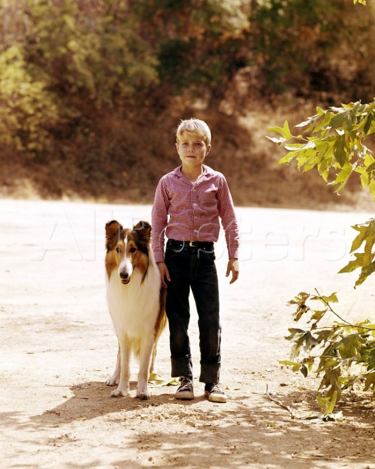 Jon Provost