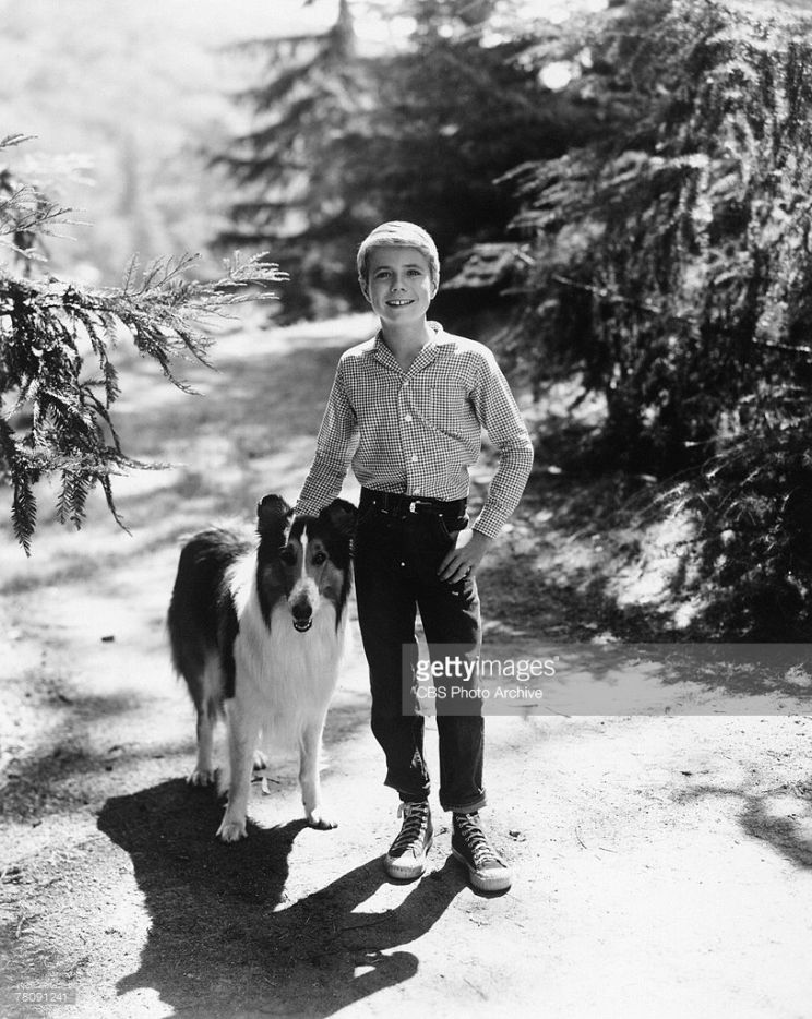 Jon Provost