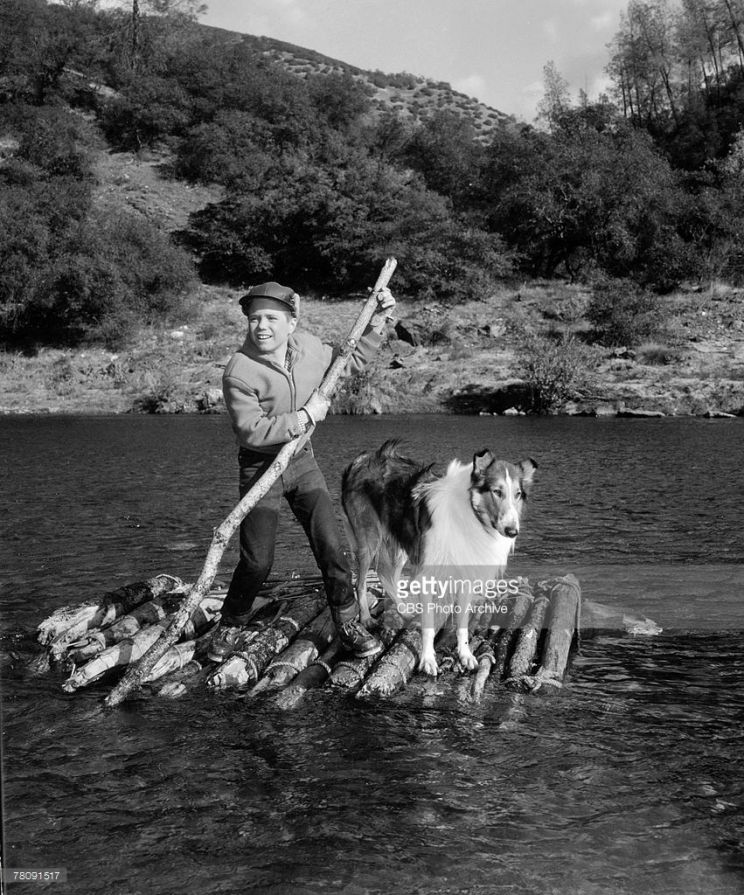 Jon Provost