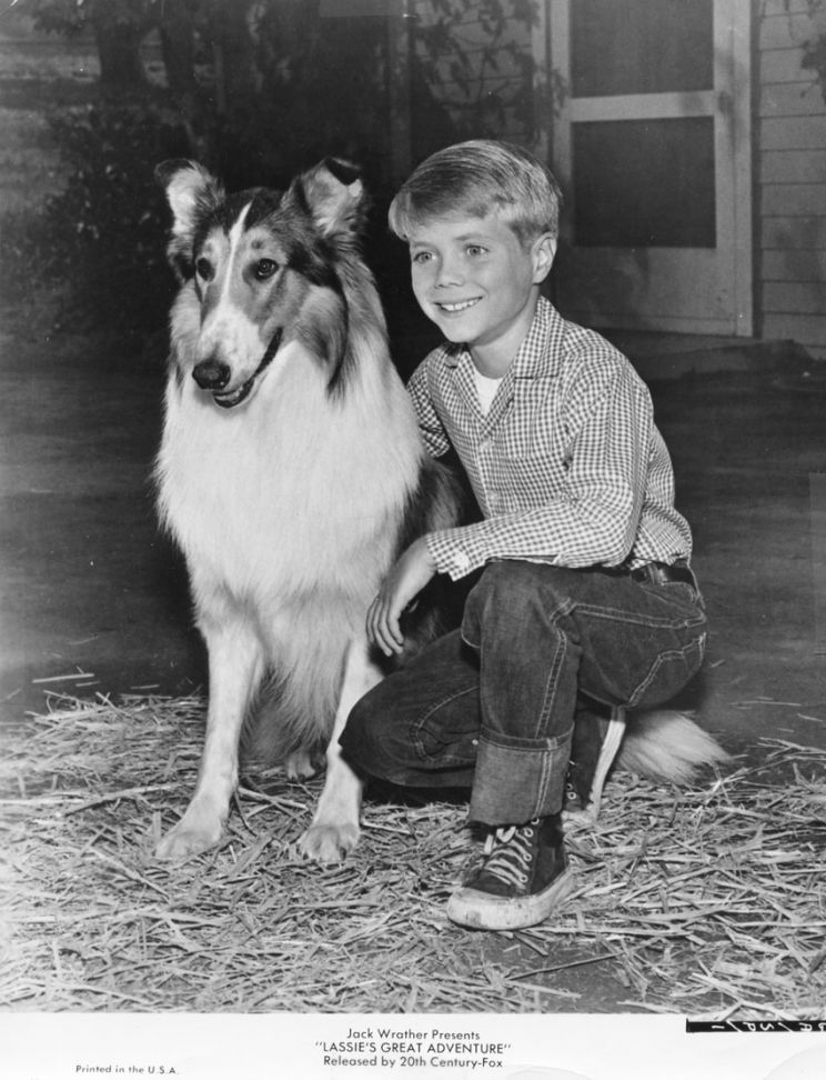 Jon Provost