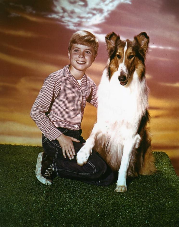 Jon Provost