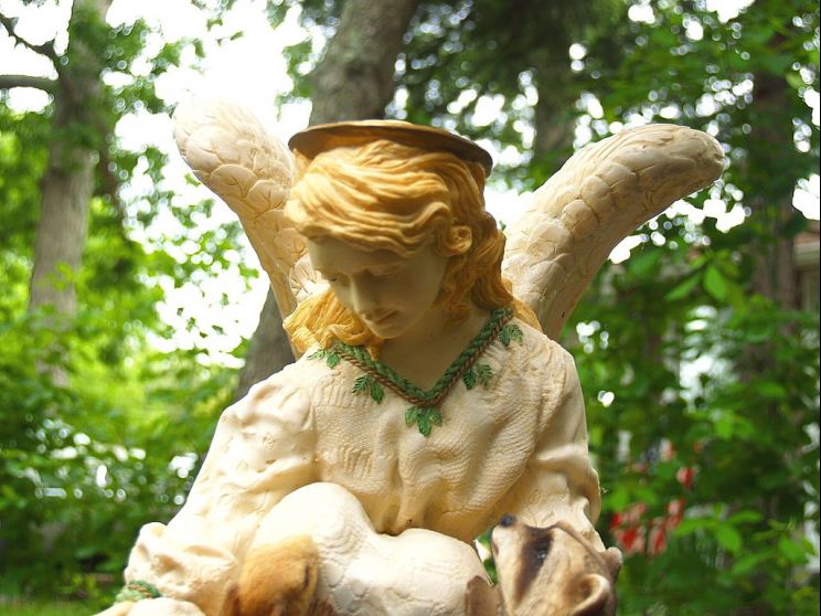 Jonathan Angel
