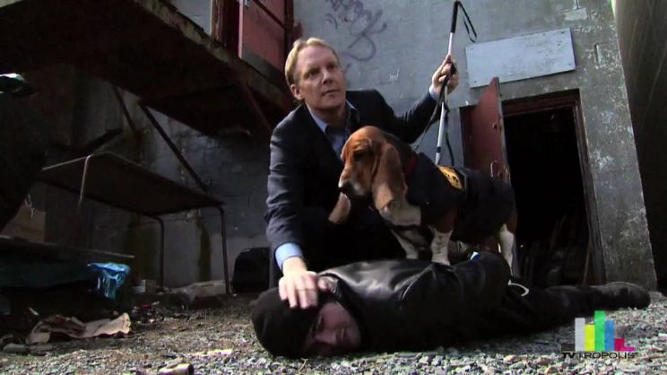 Jonathan Torrens