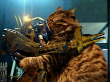 Jonesy