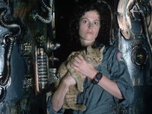 Jonesy