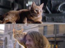 Jonesy