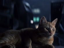 Jonesy