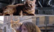 Jonesy