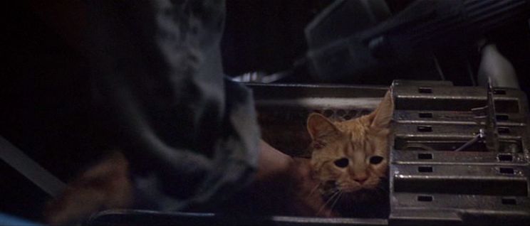 Jonesy