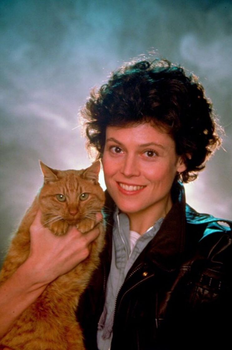 Jonesy