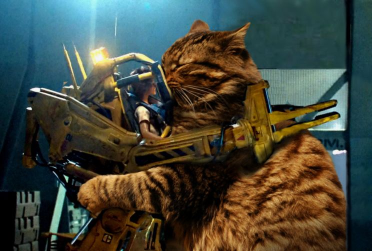 Jonesy