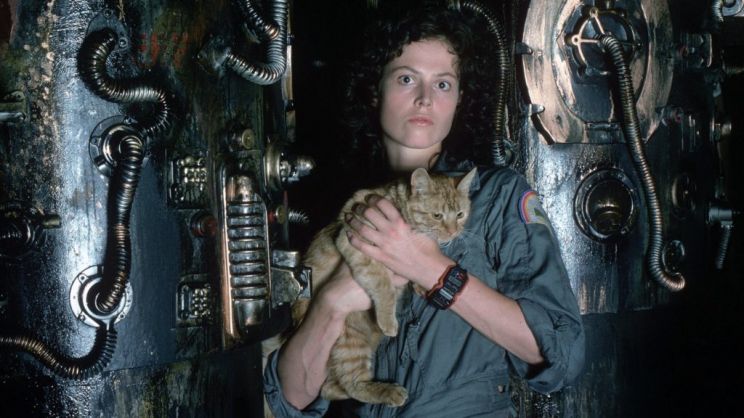 Jonesy