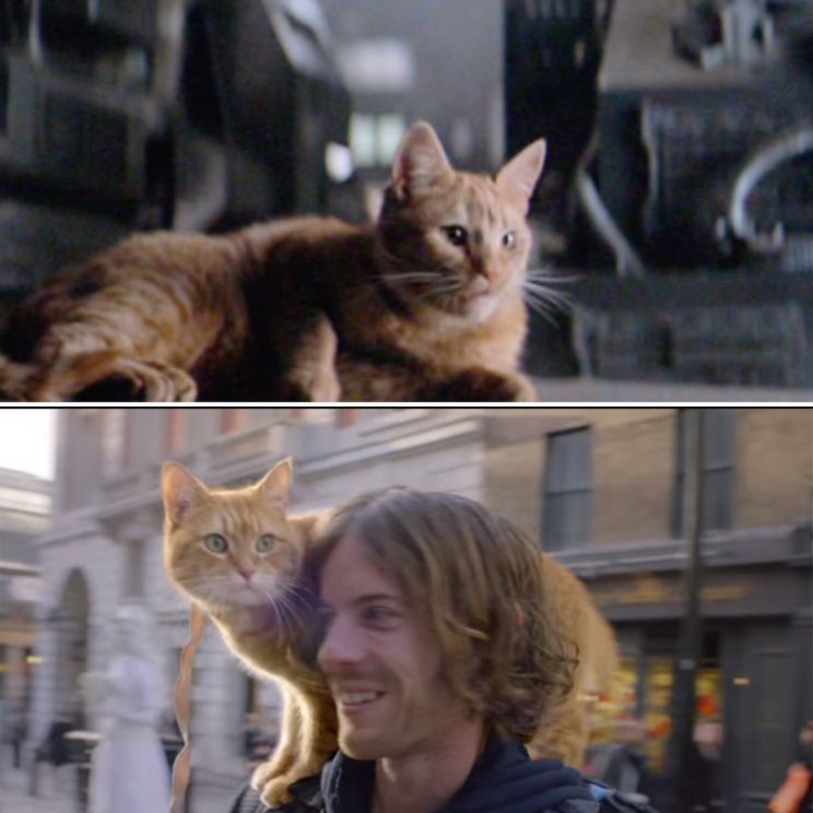 Jonesy