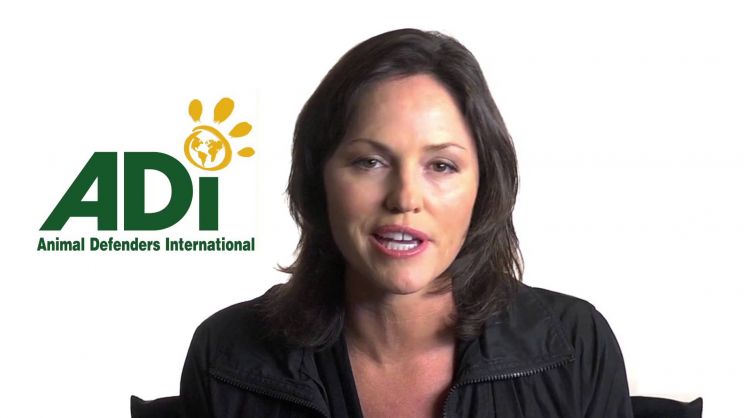 Jorja Fox