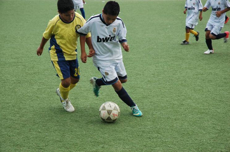 Joseph Falasca