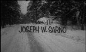 Joseph W. Sarno
