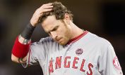 Josh Hamilton