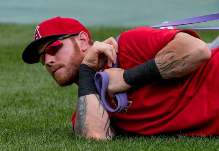 Josh Hamilton