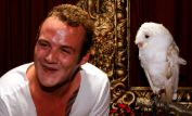 Josh Herdman
