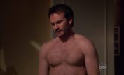 Josh Lawson