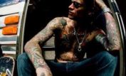 Josh Todd