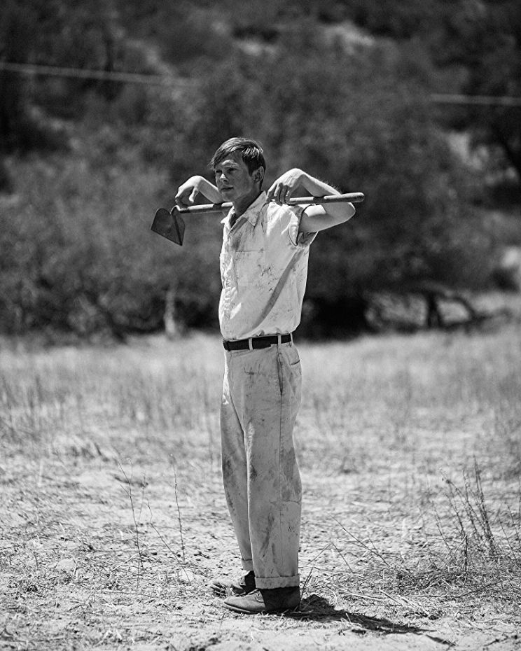 Joshua Brady