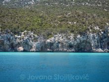 Jovana Stojiljkovic photo