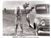 Joy Harmon #1041746 picture (Landscape Medium)