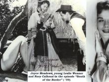 Joyce Meadows