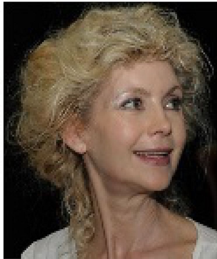 Judi Bowker