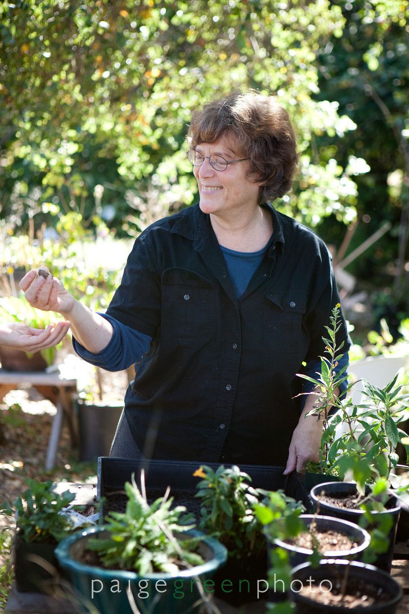 Pictures of Judith Lowry