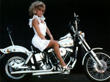 Judy Landers