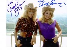 Judy Landers #484380 picture (Landscape Medium)