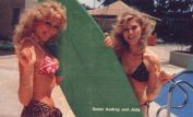 Judy Landers