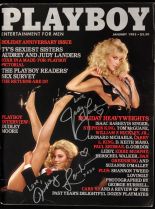 Judy Landers