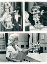 Judy Landers #484375 picture (Portrait Medium)