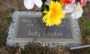 Judy Landon