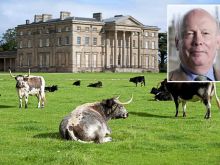 Julian Fellowes